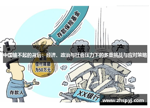 中国输不起的背后：经济、政治与社会压力下的多重挑战与应对策略