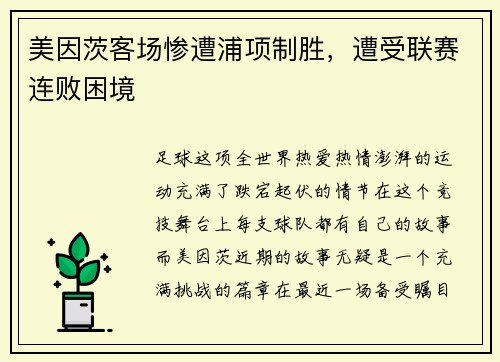 美因茨客场惨遭浦项制胜，遭受联赛连败困境